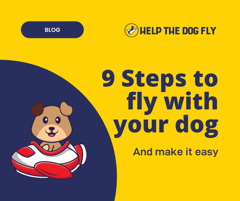 how-to-fly-with-a-dog-9-steps-to-fly-with-your-dog-and-make-it-easy