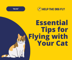 tip to fly with your cat